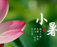 二十四節(jié)氣丨小暑：熱風(fēng)撲面小暑至 炎炎盛夏于此始